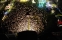 DJI_0707
